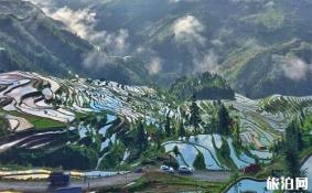 加榜梯田在哪里 加榜梯田介绍