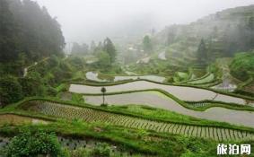 堂安在哪 景点介绍