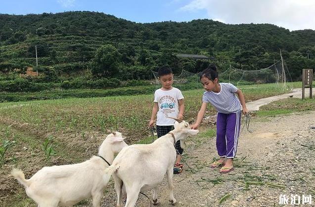 7月份可以去哪些海滨城市旅游