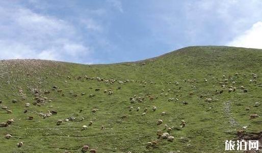 新疆和西藏谁更适合旅行