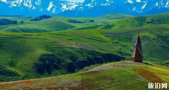 新疆草原有哪几大草原 新疆草原图片