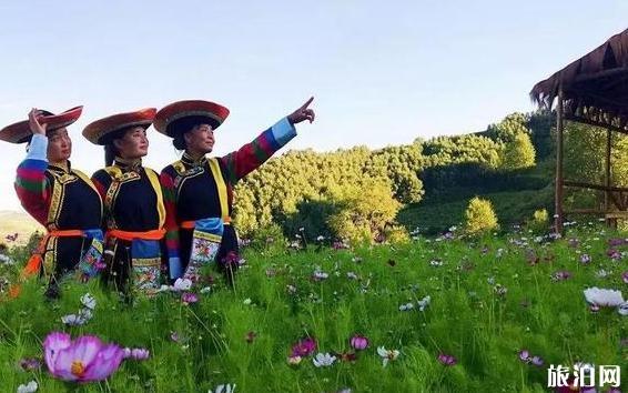 青海花海照片 青海花海景區介紹