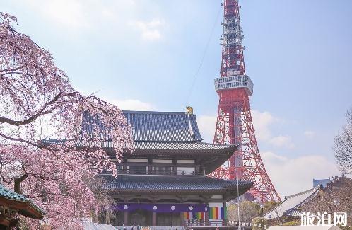 帶孩子東京一周旅游需要帶多少錢