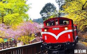 阿里山游玩攻略