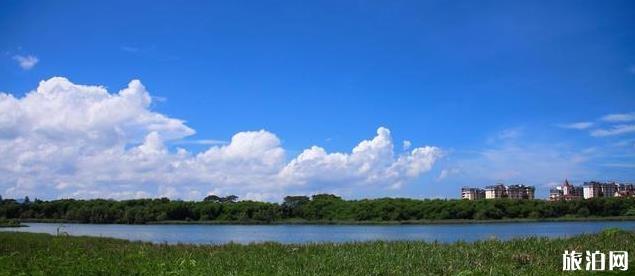 深圳免費旅游景點大全 深圳免費公園大全