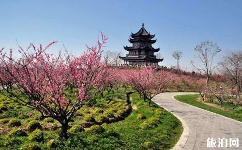 2018奉賢海灣森林公園門票價格+優(yōu)惠政策