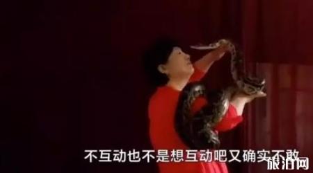 保定动物园门票多少钱+优惠政策