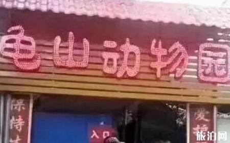 保定动物园门票多少钱+优惠政策