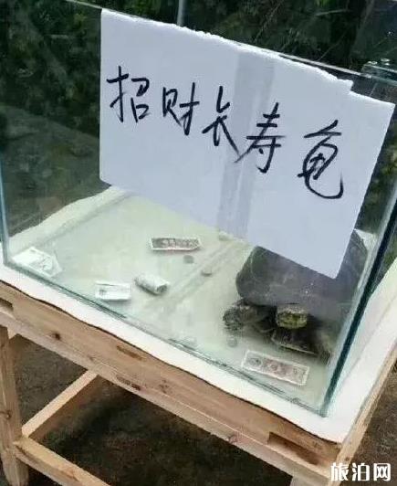 保定动物园门票多少钱+优惠政策