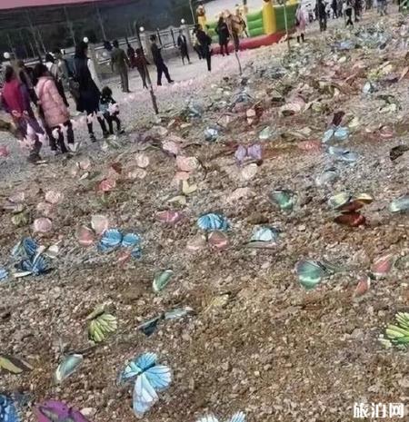 保定动物园门票多少钱+优惠政策