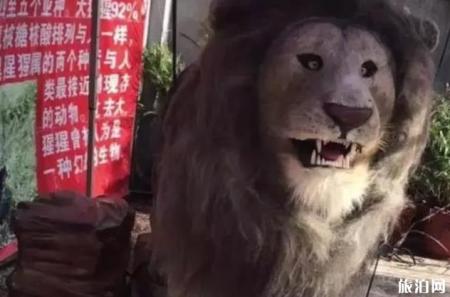 保定动物园门票多少钱+优惠政策