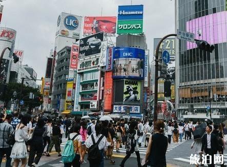 東京涉谷區游玩攻略