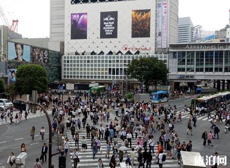 東京涉谷區游玩攻略