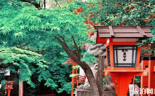 京都八阪神社攻略