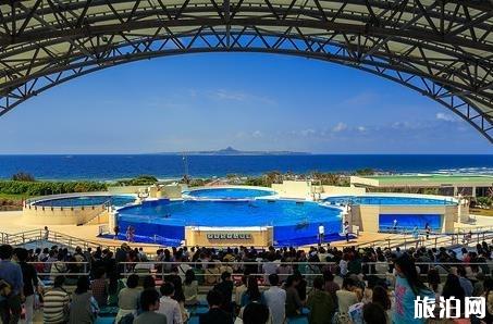冲绳美丽海水族馆游玩攻略
