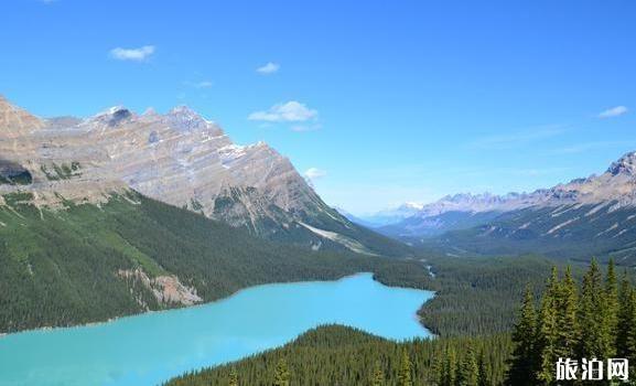 加拿大一周游旅游路线推荐