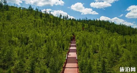 阿尔山国家森林公园游玩线路推荐