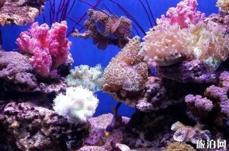 2018兰州极地海洋世界门票多少钱+优惠信息