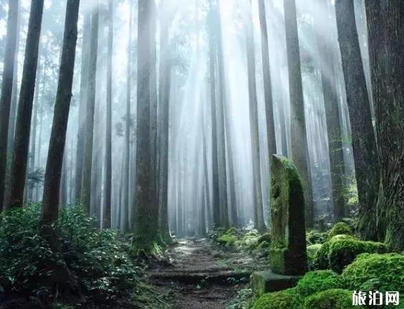 日本世界遺產(chǎn)名錄 去日本住哪里可以很好的看見(jiàn)風(fēng)景