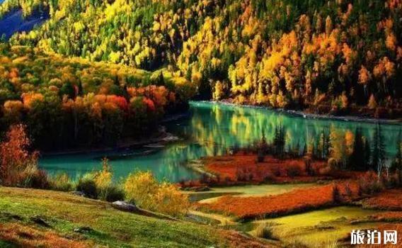 秋天去哪里旅游比较好 中国秋天最美的地方是哪里
