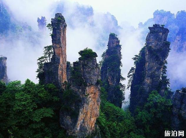 八月份適合去哪里旅游好