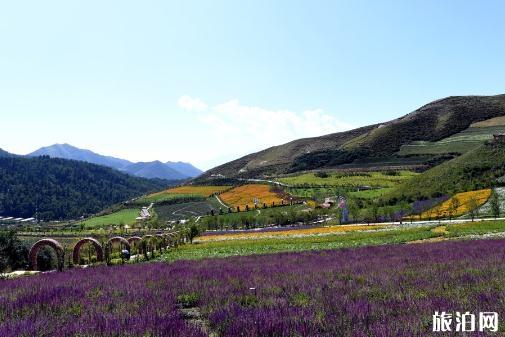 2018西宁上山庄花海门票价格 西宁上山庄花海彩虹滑道在哪里