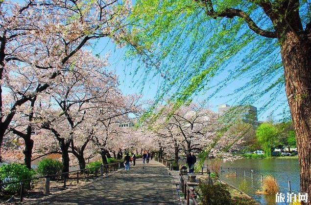 東京旅游景點攻略+分布圖