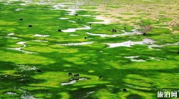 國內空氣最好的地方 國內空氣最好的地方景點介紹