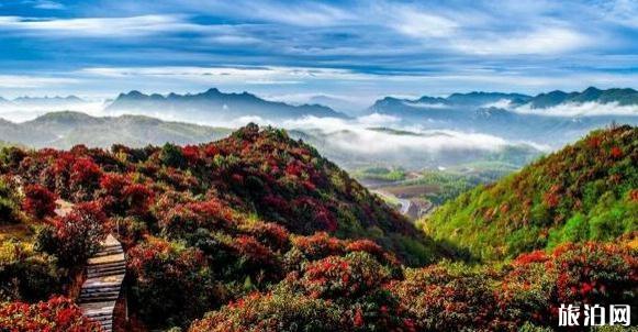 贵州县排名2018 贵州最美的县介绍