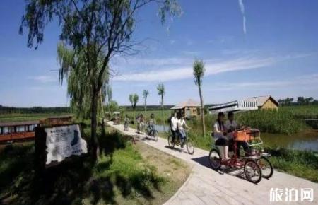 2018重庆有哪些可以避暑的湿地公园