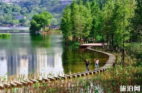 2018重庆有哪些可以避暑的湿地公园