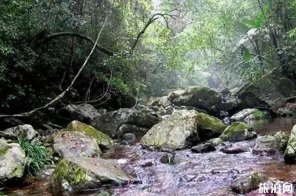 金秀古沙沟景区在哪 金秀古沙沟景区介绍