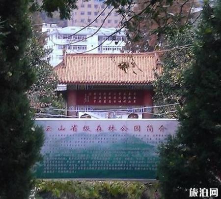 甘肃陇南康县旅游景点介绍