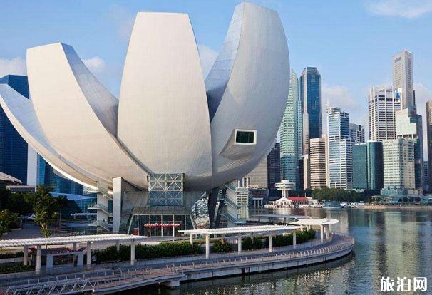 新加坡签证有哪些类型 新加坡留学签证怎么办理