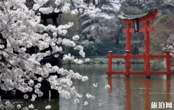 中国园林与日本枯山水庭院的区别