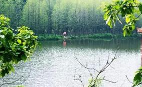 嵩县天池山门票优惠活动
