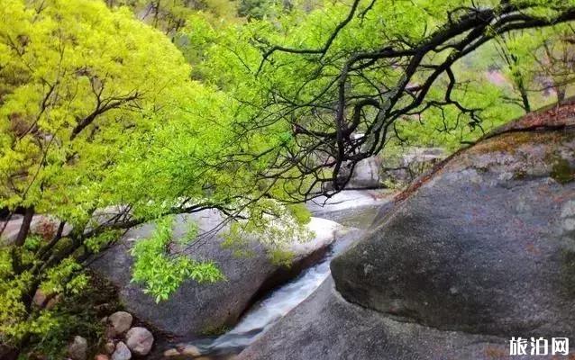 嵩县天池山门票优惠活动