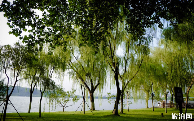 西湖十景介紹 西湖十景有哪些 西湖十景游玩順序