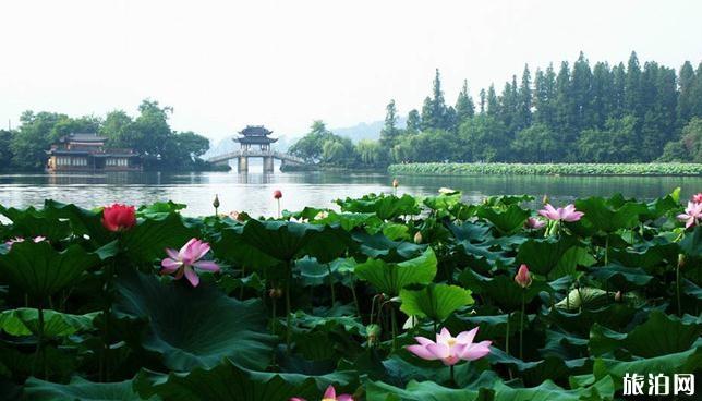 西湖十景介绍 西湖十景有哪些 西湖十景游玩顺序