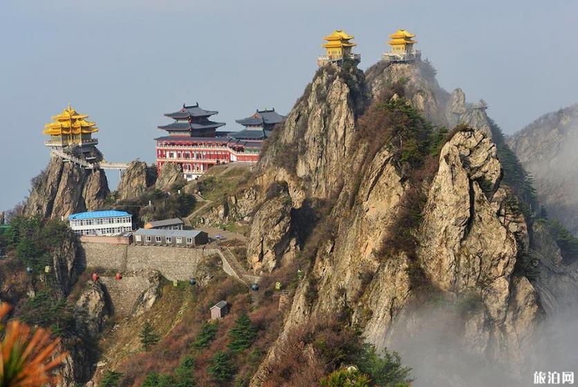 2018老君山免票时间 老君山2018年8月免票活动 2018老君山免票时间 老君山2018年8月免票活动