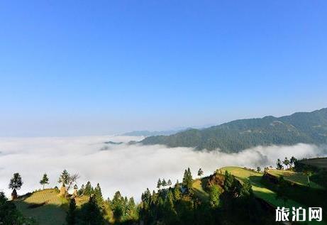 贵州有什么名山