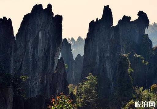 黔西南旅游必去景点 黔西南景点介绍