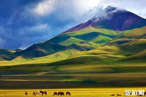 新疆旅游要注意哪些事项