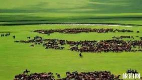 内蒙古最美的地方有哪些 内蒙古最美的地方介绍