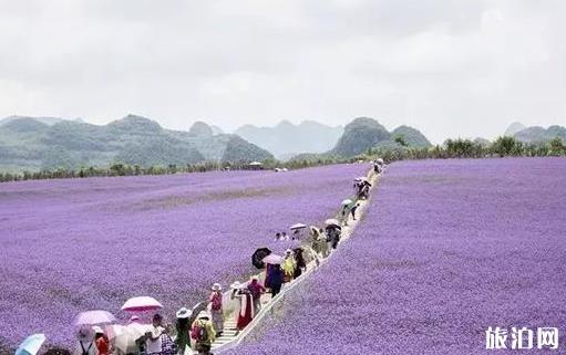 南宁情侣约会好去处 七夕情人节主题约会地