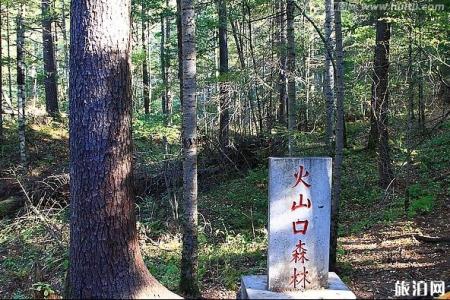 黑龙江避暑圣地有哪些