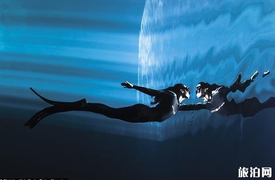 水下拍照摄影作品欣赏 潜水杂志水下摄影获奖作品