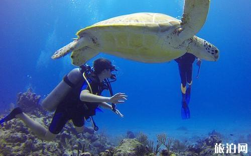 ​泰国哪里可以考潜水证 考潜水证要注意什么