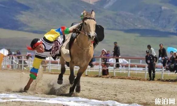 西藏当雄赛马节什么时候开幕 2018年当雄赛马节时间+地点