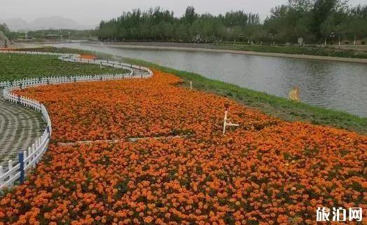 石家庄鹿泉景点免费景点 石家庄鹿泉景点介绍